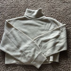 H&M Cropped Turtleneck